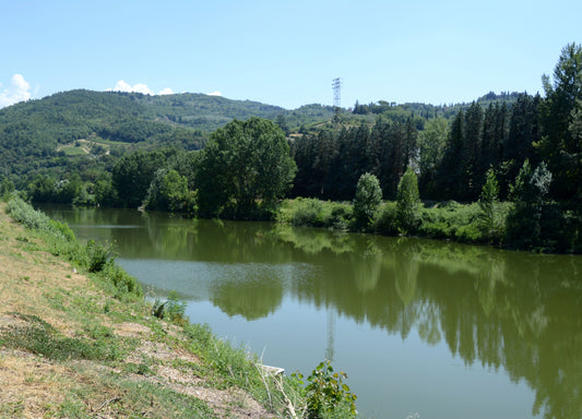 The Arno Valley and Arezzo