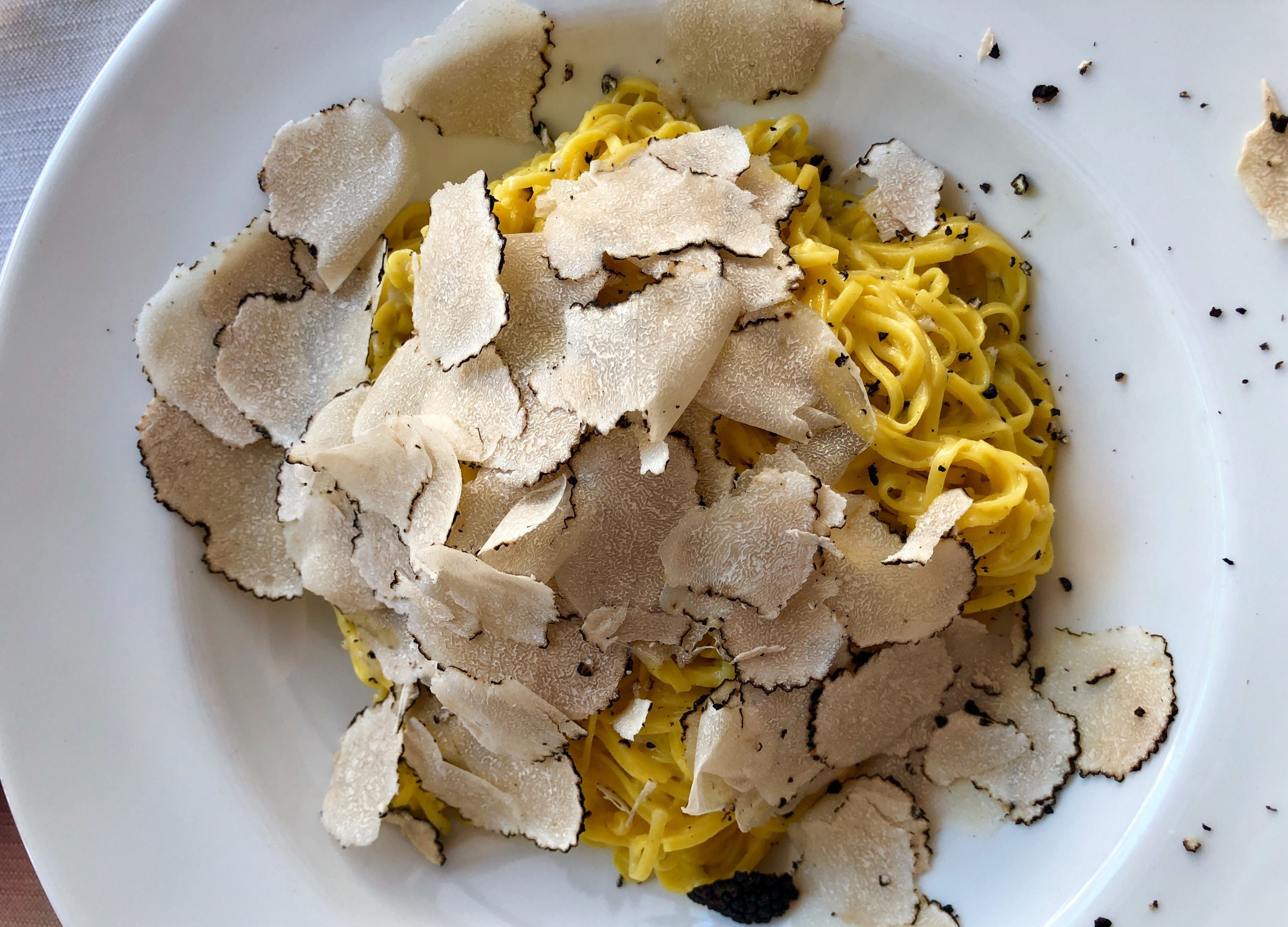 Cookery Class and Truffle Hunt in the Langhe