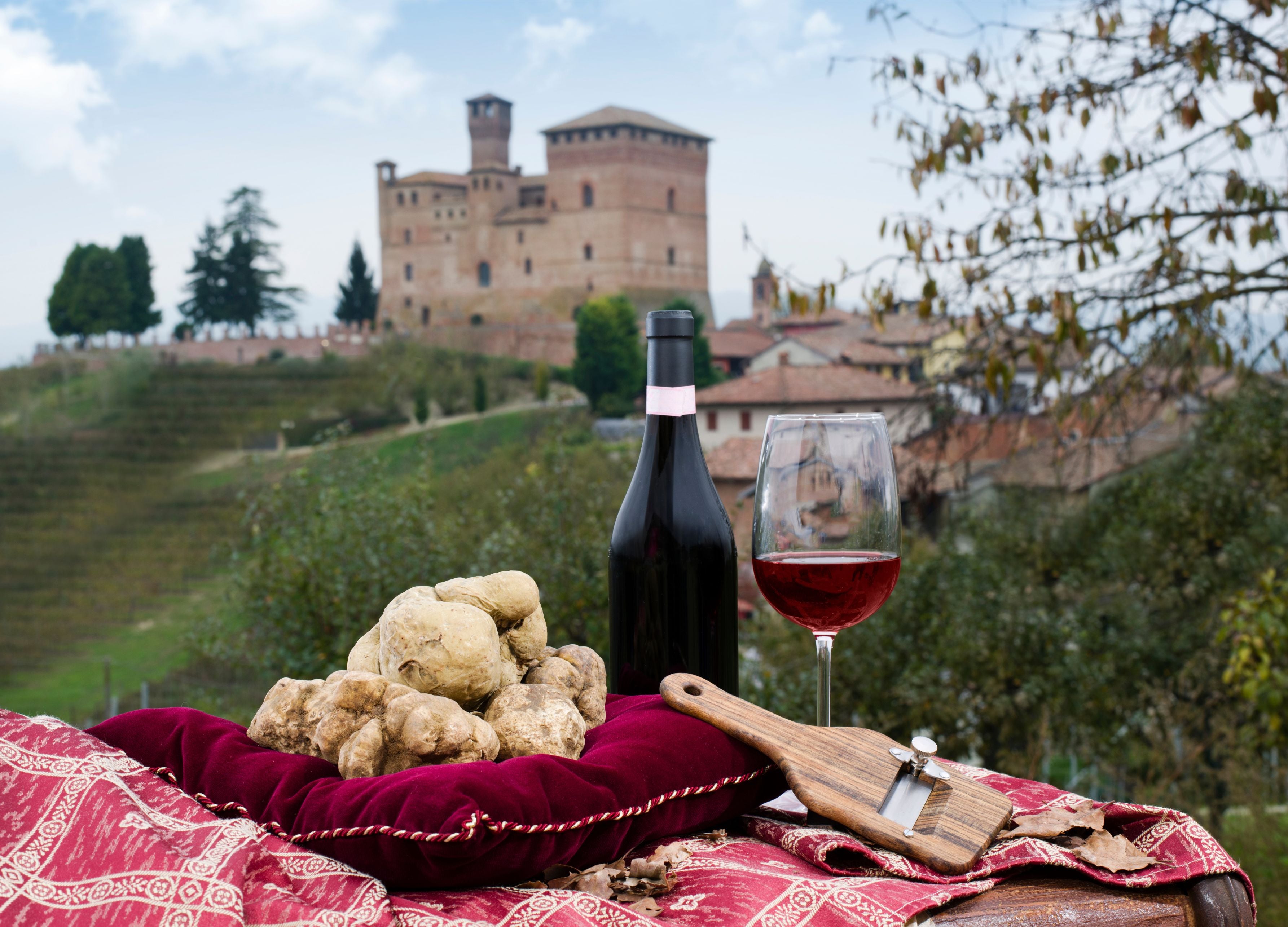 Langhe and Alba Tour